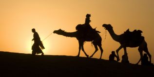 Test de cultura generala: Stapanele desertului