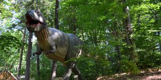 Parcul cu dinozauri de la Rasnov va putea fi vizitat si noaptea. Se deschide singurul cinematograful 9D din Romania