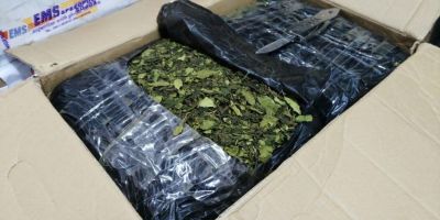 Khat, noul drog de pe piata din Europa, a fost interceptat in Romania. Provine din Africa si contine cathinona, substanta de mare risc